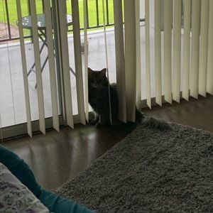 Meet your Posher, Toni